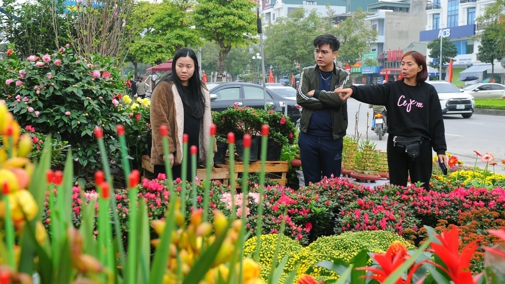 Xã Đan Phượng tổ chức chợ hoa Xuân Bính Ngọ năm 2026 từ 23/1 - 16/2