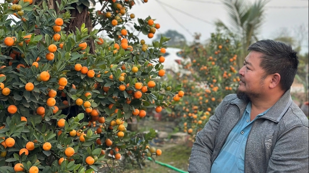 4 địa điểm tổ chức chợ hoa Xuân Bính Ngọ 2026 xã Ô Diên