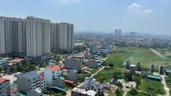 gia chung cu tai ha noi tang phi ma trung binh 100 trieu dongm