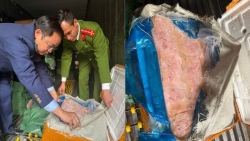 ha noi phat hien thu giu 10 tan thuc pham ban dip cao diem tet 2026