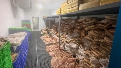 triet pha duong day san xuat buon ban 50 tan thuc pham gia tai tp hcm