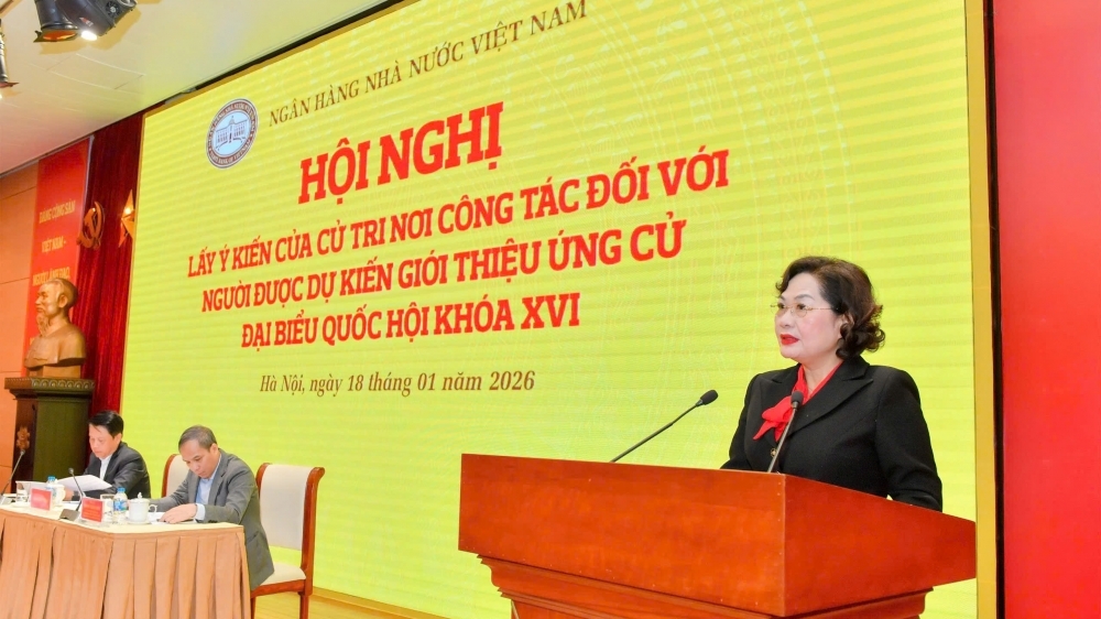 Thống đốc Nguyễn Thị Hồng được giới thiệu ứng cử đại biểu Quốc hội khóa XVI