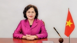 thong doc nguyen thi hong tai dac cu uy vien trung uong khoa xiv