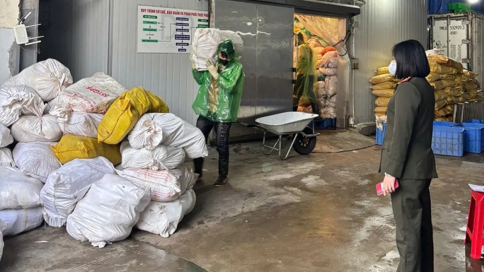 Hà Nội: Phát hiện kho lạnh chứa hàng chục tấn lòng lợn bốc mùi