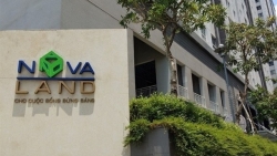 Tập đoàn Novaland bất ngờ báo lãi hơn 3.600 tỷ đồng