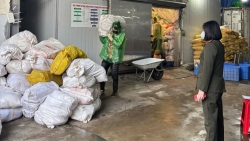 Hà Nội: Phát hiện kho lạnh chứa hàng chục tấn lòng lợn bốc mùi