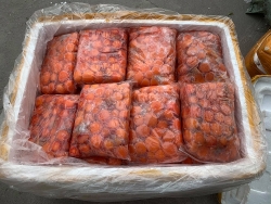 hon 14 tan thit lon nam lon va trung ga khong ro nguon goc trong xe container