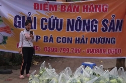 bo cong thuong kien nghi giai cuu nong san hai duong