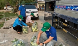 hai duong khan thiet de nghi cho nong san xuat khau di qua hai phong