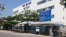 Đà Nẵng: Công ty TNHH MTV The Blues khai sai mã số hàng hóa lô hàng gần 2,8 tỷ đồng
