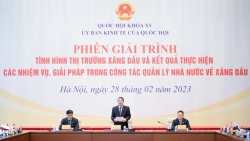 Phó Chủ tịch Quốc hội: Thẳng thắn nêu các hạn chế, bất cập trong kinh doanh xăng dầu