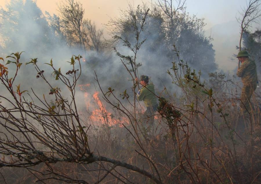 Gần 840 người chữa cháy rừng ở Sa Pa