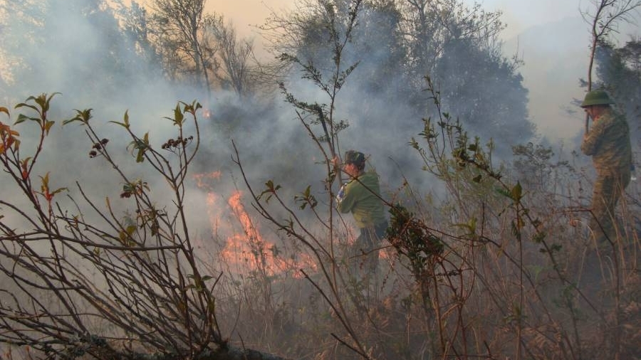 Gần 840 người chữa cháy rừng ở Sa Pa