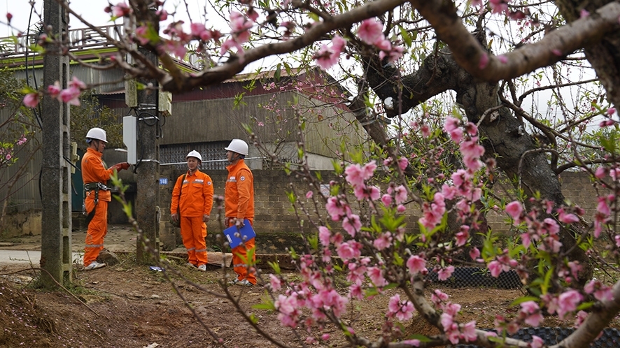 Mức tiêu thụ điện dịp Tết giảm mạnh so với ngày thường