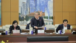 nhan dan lo lang hang gia chua co dau hieu giam sut du da bat nhieu nguoi