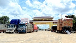 Công điện của Thủ tướng: Giải tỏa ách tắc hàng hóa, cho thông quan ngay