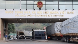 Vướng mắc thông quan hàng thực phẩm: Hải quan ra hàng loạt văn bản hỏa tốc