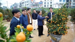 Lãnh đạo xã Dương Hòa kiểm tra hoạt động chợ hoa Xuân Bính Ngọ 2026