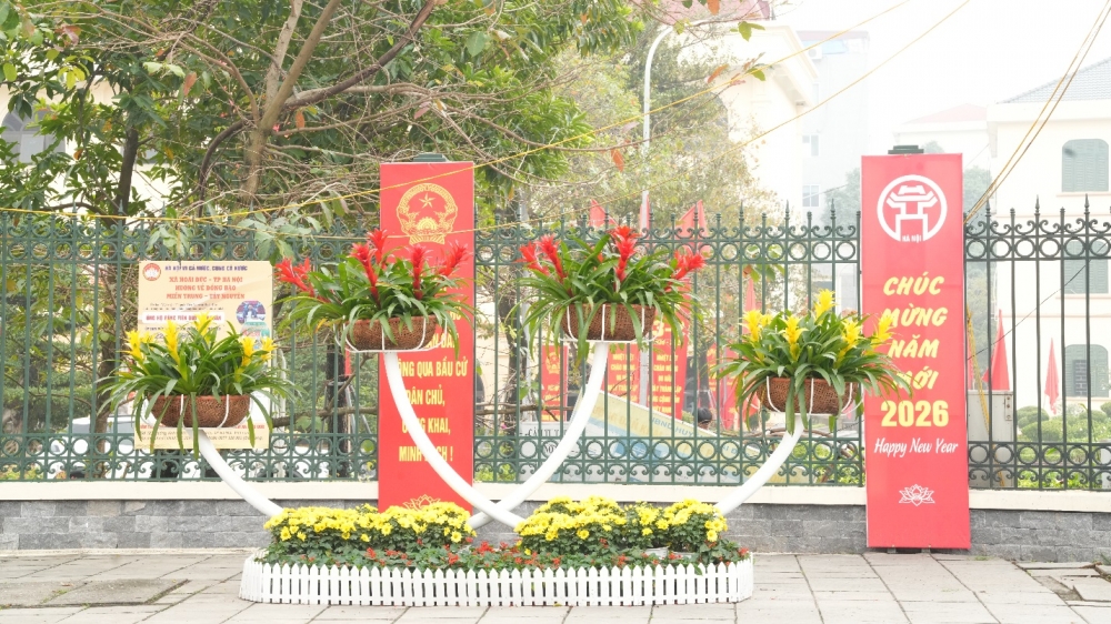 Hoài Đức rực rỡ sắc Xuân