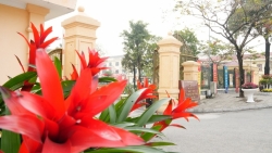 Hoài Đức rực rỡ sắc Xuân