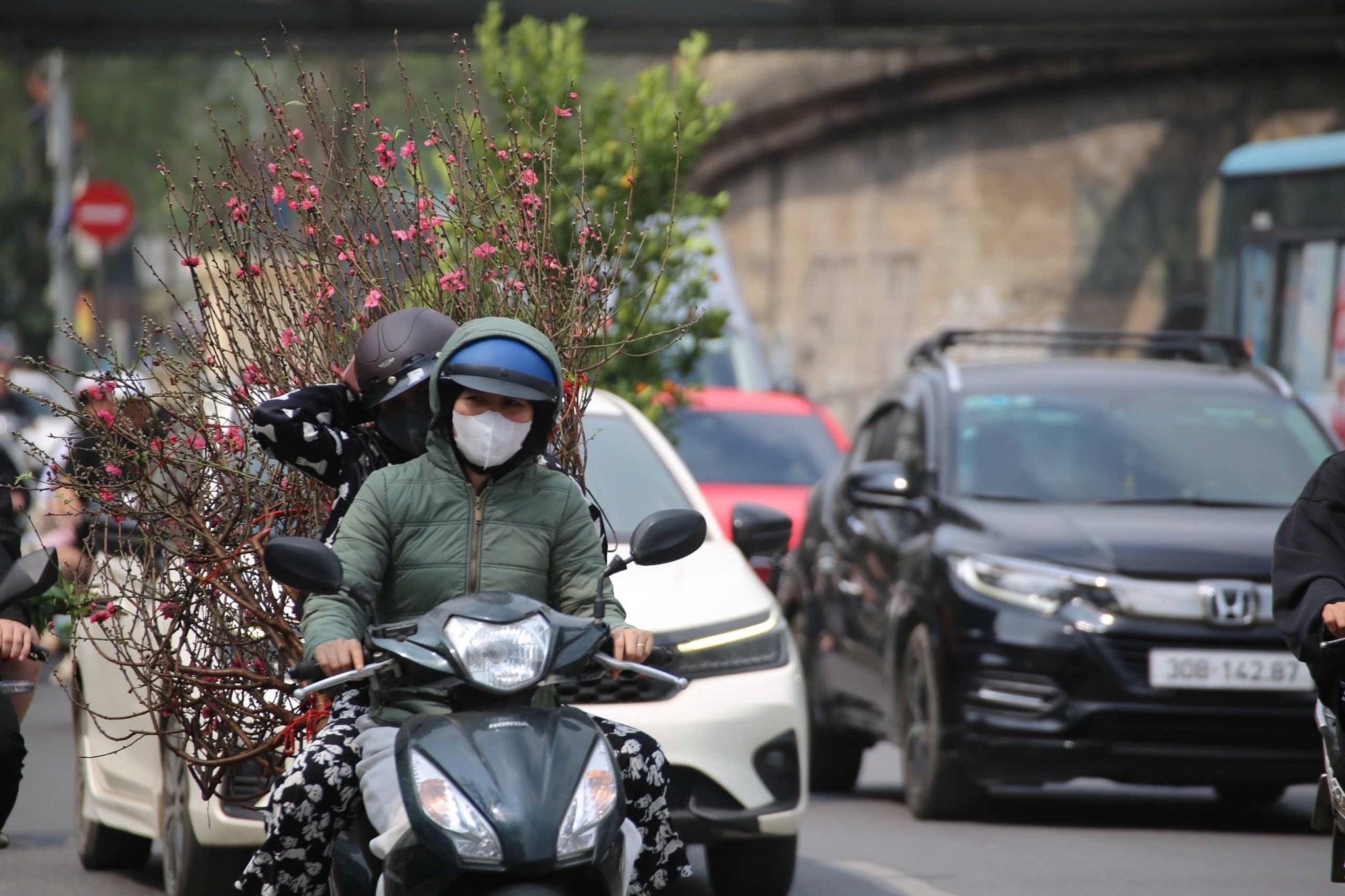 Những chuyến xe hối hả chở Tết và cả sắc Xuân về nhà