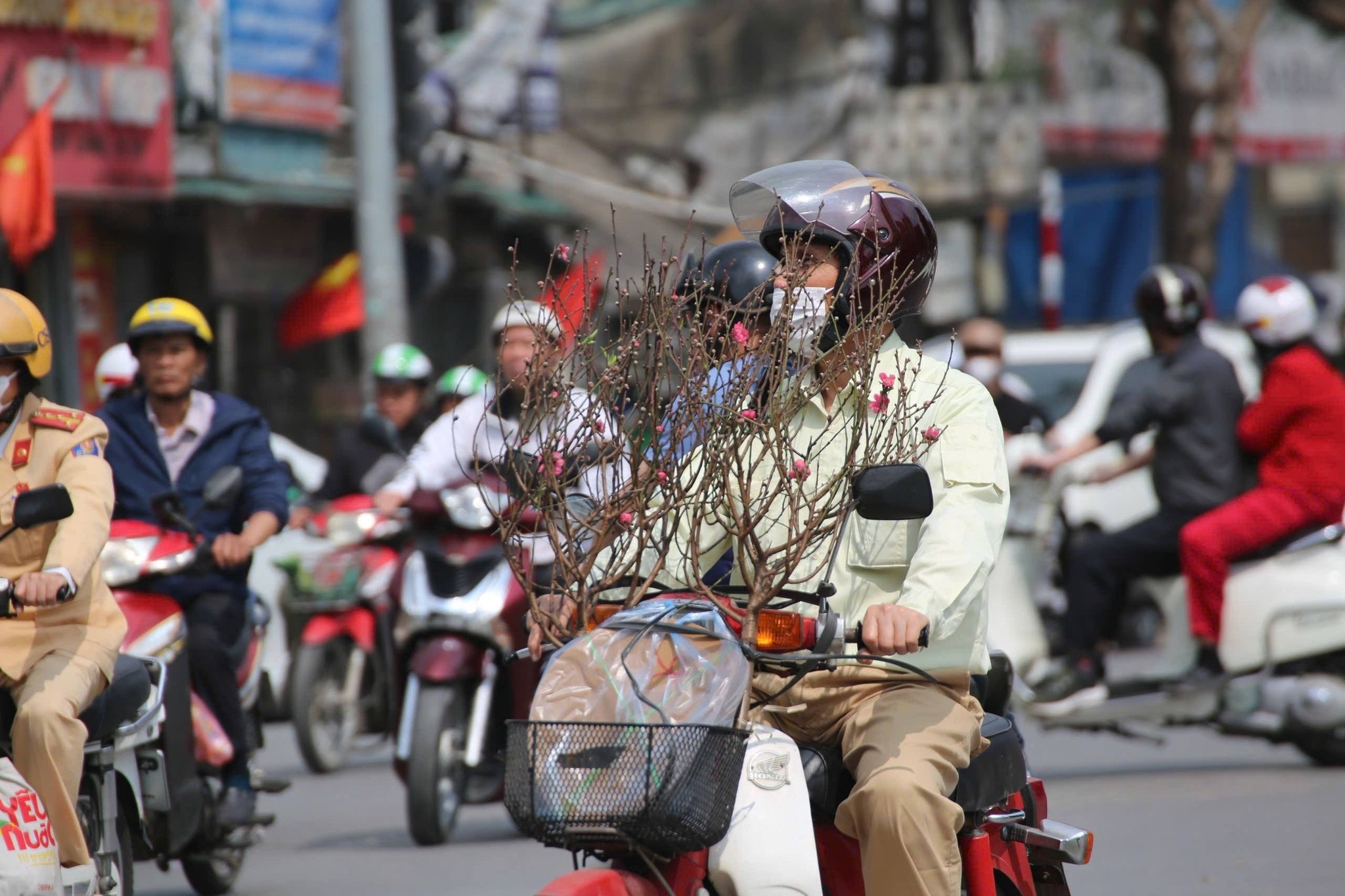 Những chuyến xe hối hả chở Tết và cả sắc Xuân về nhà