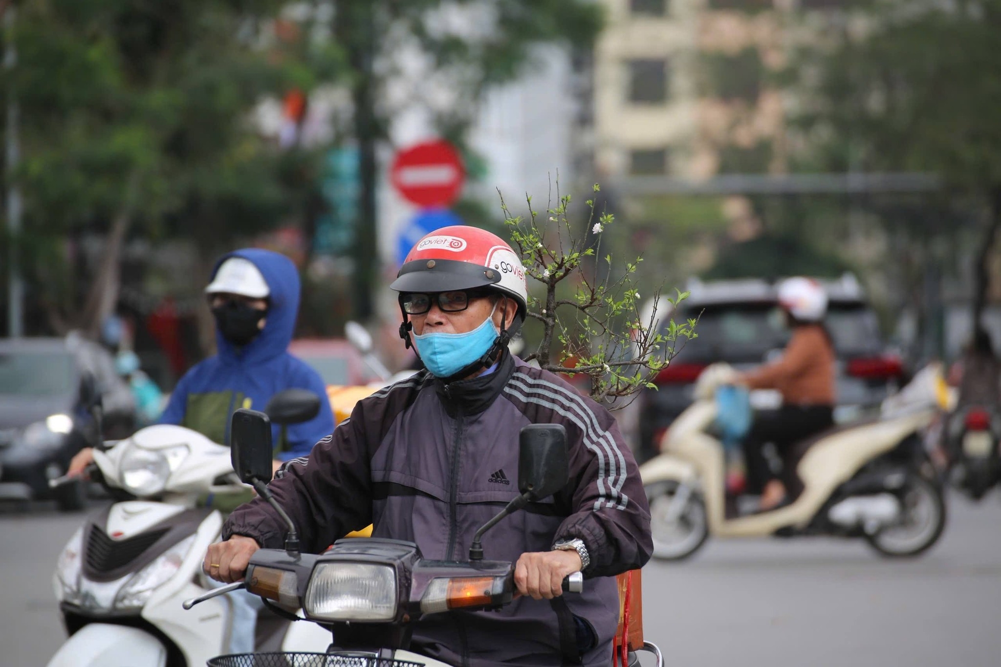 Những chuyến xe hối hả chở Tết và cả sắc Xuân về nhà