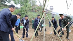 lanh dao tinh thanh hoa phat dong tet trong cay xuan binh ngo 2026