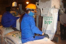 Gia hạn áp thuế tự vệ đối với phân bón DAP, MAP nhập khẩu