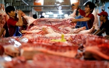 thu tuong tiep tuc yeu cau som giam gia thit lon