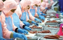Doanh nghiệp thủy sản giảm 35-50% đơn hàng vì Covid-19