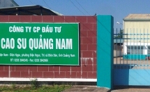 Công ty Cao su Quảng Nam bị phong tỏa tài khoản, cưỡng chế thuế gần nửa tỷ đồng