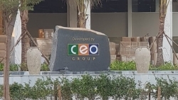 co phieu ceo nam trong top giao dich nhieu nhat thang 22023