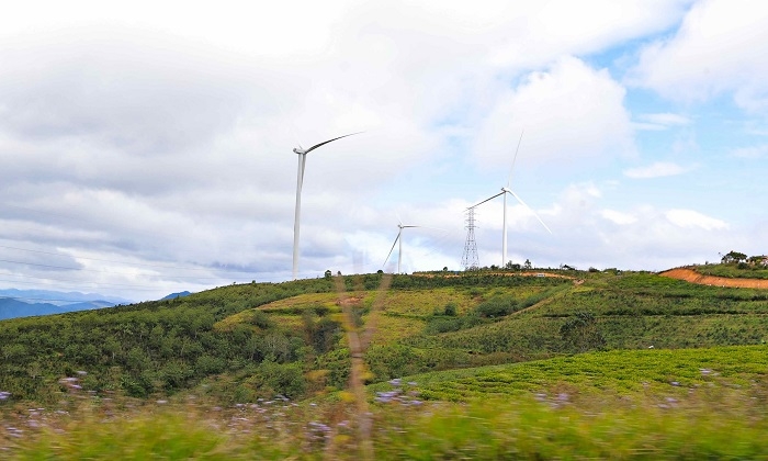 Chiếm đất nông nghiệp, chủ đầu tư Nhà máy điện gió Cầu Đất bị phạt 1,4 tỷ đồng