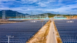 EVN lý giải việc dừng mua 172MW điện mặt trời của Trung Nam