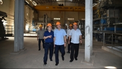 Dự án Nhà máy bột giấy Phương Nam hàng nghìn tỷ đồng không thể khắc phục