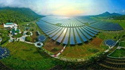 Doanh nghiệp Việt Nam nỗ lực 