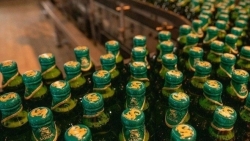 SABECO lãi cao kỷ lục, mỗi ngày thu về gần 84 tỷ đồng nhờ bán bia