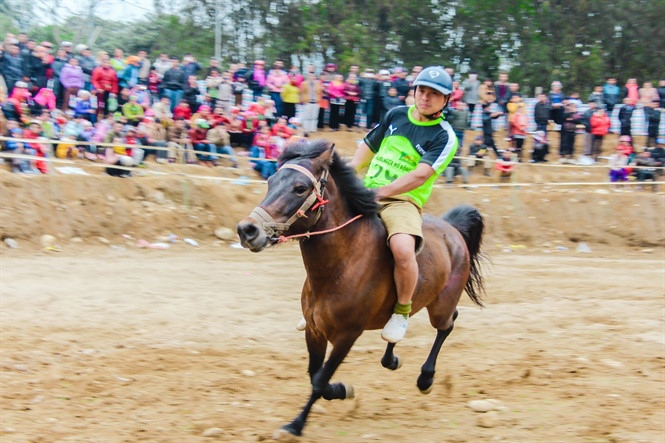 Giải đua ngựa Shanrila Mường Lò lần đầu tiên tổ chức giữa lòng di sản Nghĩa Lộ