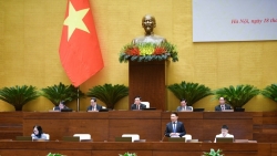 Dự kiến năm 2025 sẽ sửa Luật Thuế thu nhập cá nhân