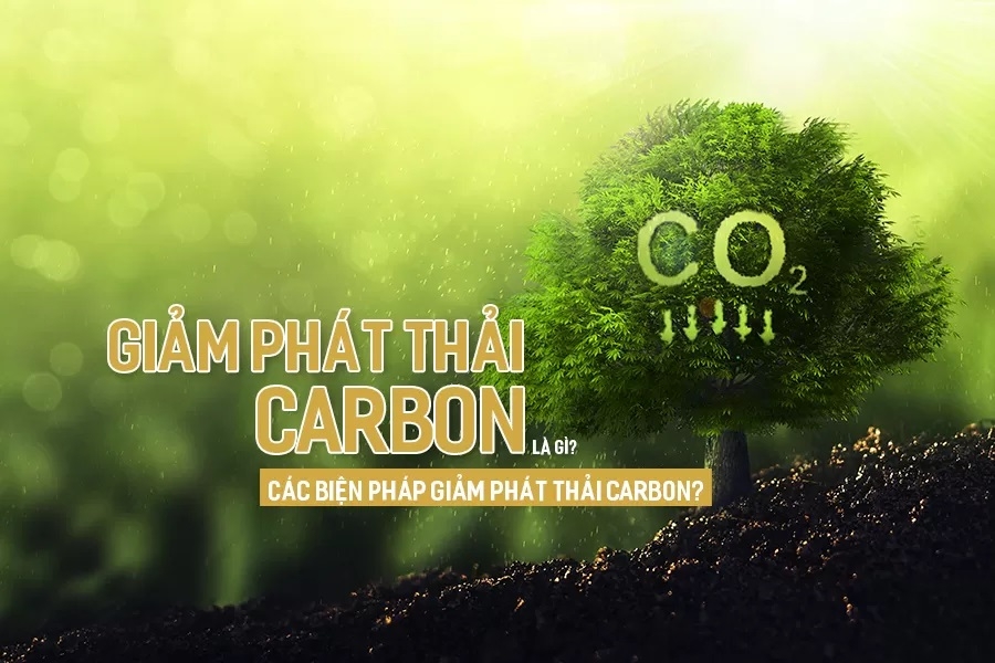 Việt Nam nhận 51,5 triệu USD nhờ giảm phát thải carbon