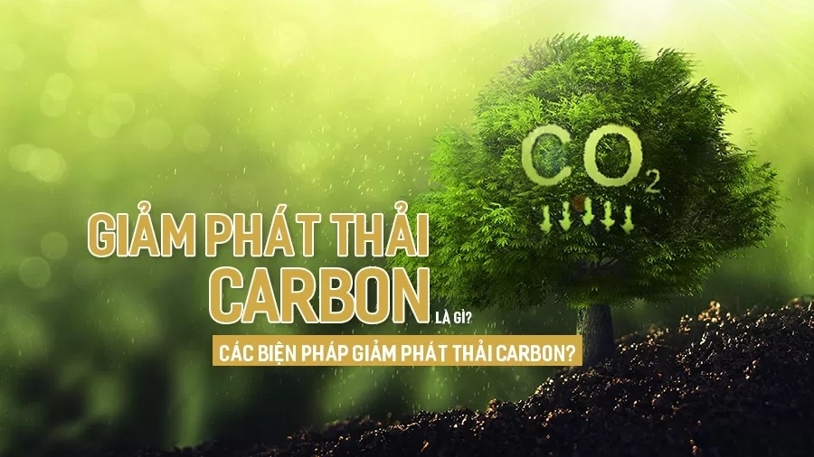 Việt Nam nhận 51,5 triệu USD nhờ giảm phát thải carbon