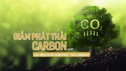 Việt Nam nhận 51,5 triệu USD nhờ giảm phát thải carbon