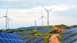 Nhà đầu tư điện tái tạo lo vỡ nợ nếu hồi tố giá điện ưu đãi