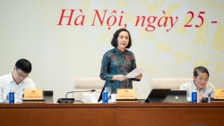 thiet ke chinh sach viec lam cho nguoi nghi viec khi tinh gon bo may