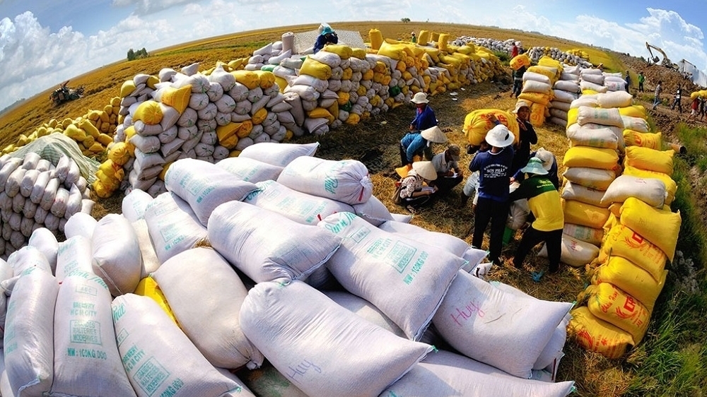 Bộ Công thương thành lập đoàn kiểm tra liên ngành về xuất khẩu gạo