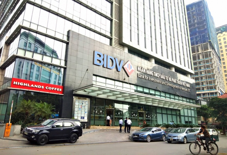 BIDV rót hơn 2.000 tỷ vào dự án chăn nuôi bò "chết yểu" ở Hà Tĩnh