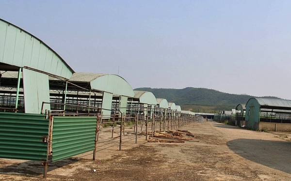 BIDV rót hơn 2.000 tỷ vào dự án chăn nuôi bò "chết yểu" ở Hà Tĩnh bidv co mat von khi rot hon 2000 ty vao du an chan nuoi bo o ha tinh