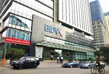 BIDV rót hơn 2.000 tỷ vào dự án chăn nuôi bò "chết yểu" ở Hà Tĩnh