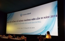 Họp thường niên năm 2019 của Ocean Group bất thành